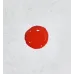 Pastel Nail Polish Red Fire 261